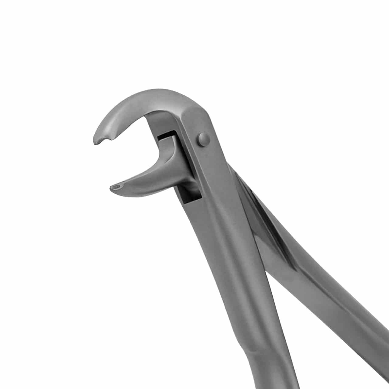 Ash-Pattern-Extraction-Forceps-lower-molar-english-pattern-36-1546-main-1.jpg