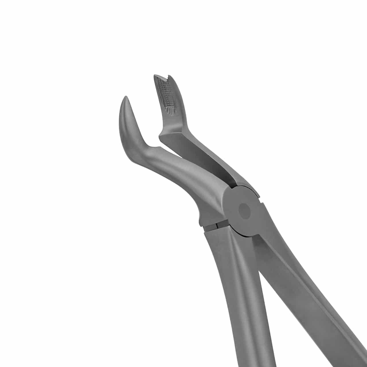 Extraction-Forceps-Upper-Right-Molars-signature-english-pattern-36-3160-main-1.jpg