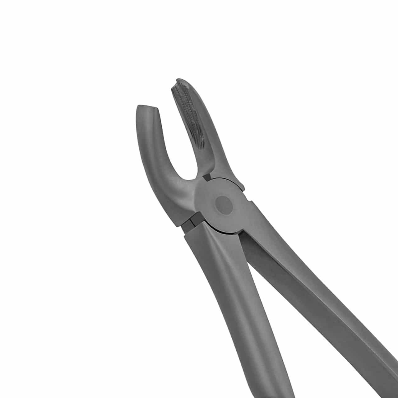 Extraction-Forceps-Upper-Right-Molars-signature-english-pattern-36-6044-main-1.jpg