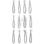 TOOTH FORCEPS 12PCS SET - Image 2