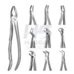 BLADE BEAKS TOOTH FORCEPS SET - Image 2
