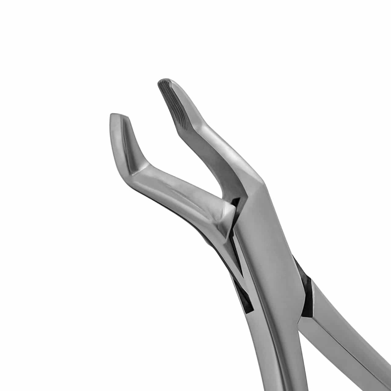 Universal-Extraction-Forceps-10S-upper-molar-american-pattern-straight-handle-36-010S-main-1-1.jpg