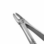 29 English Pattern Extraction Forceps - Image 2