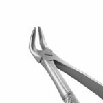 31 English Pattern Extraction Forceps - Image 2