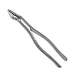 32 Universal Extraction Forceps