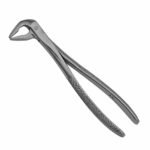 36 Apical Extraction Forceps