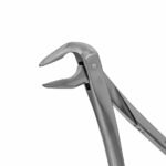 36 Apical Extraction Forceps - Image 2