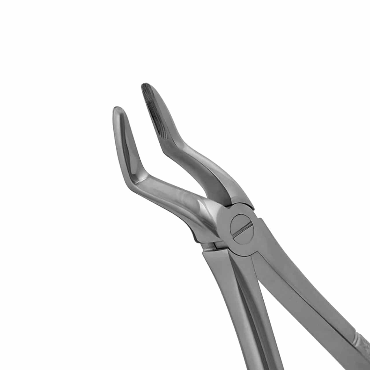 extraction-forceps-51-upper-root-english-pattern-bayonet-style-36-051E-main.jpg