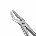 52A English Pattern Extraction Forceps - Image 2