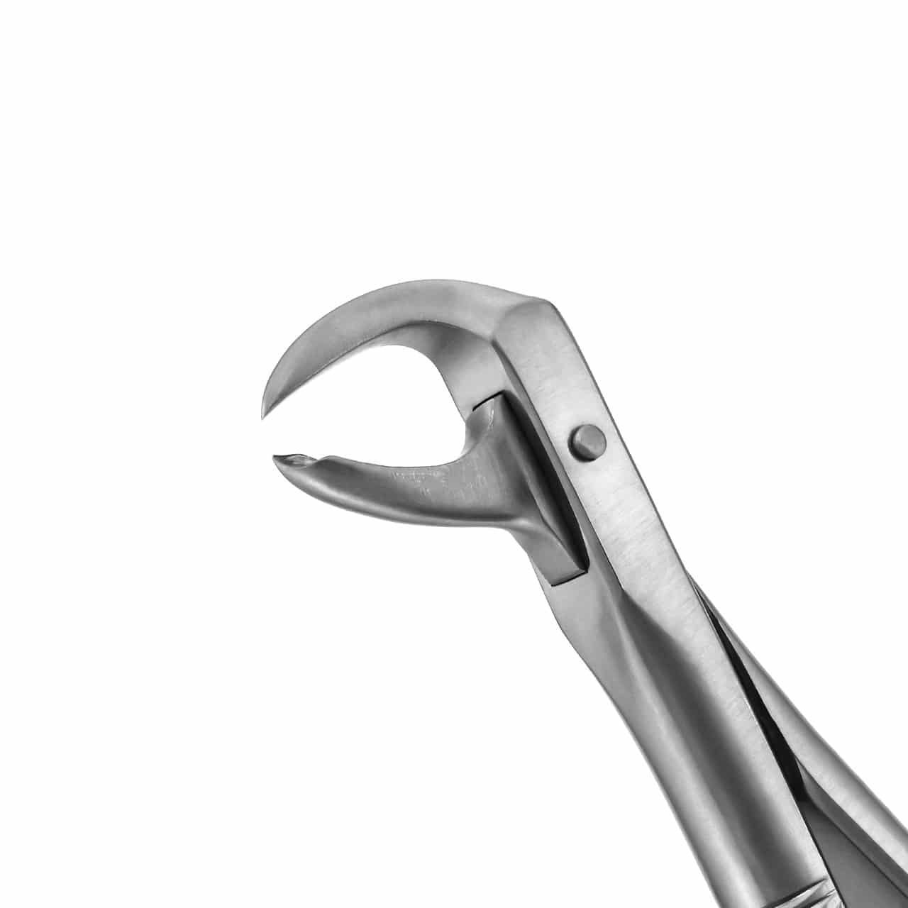 extraction-forceps-english-pattern-lower-molars-36-099AE-main-1.jpg