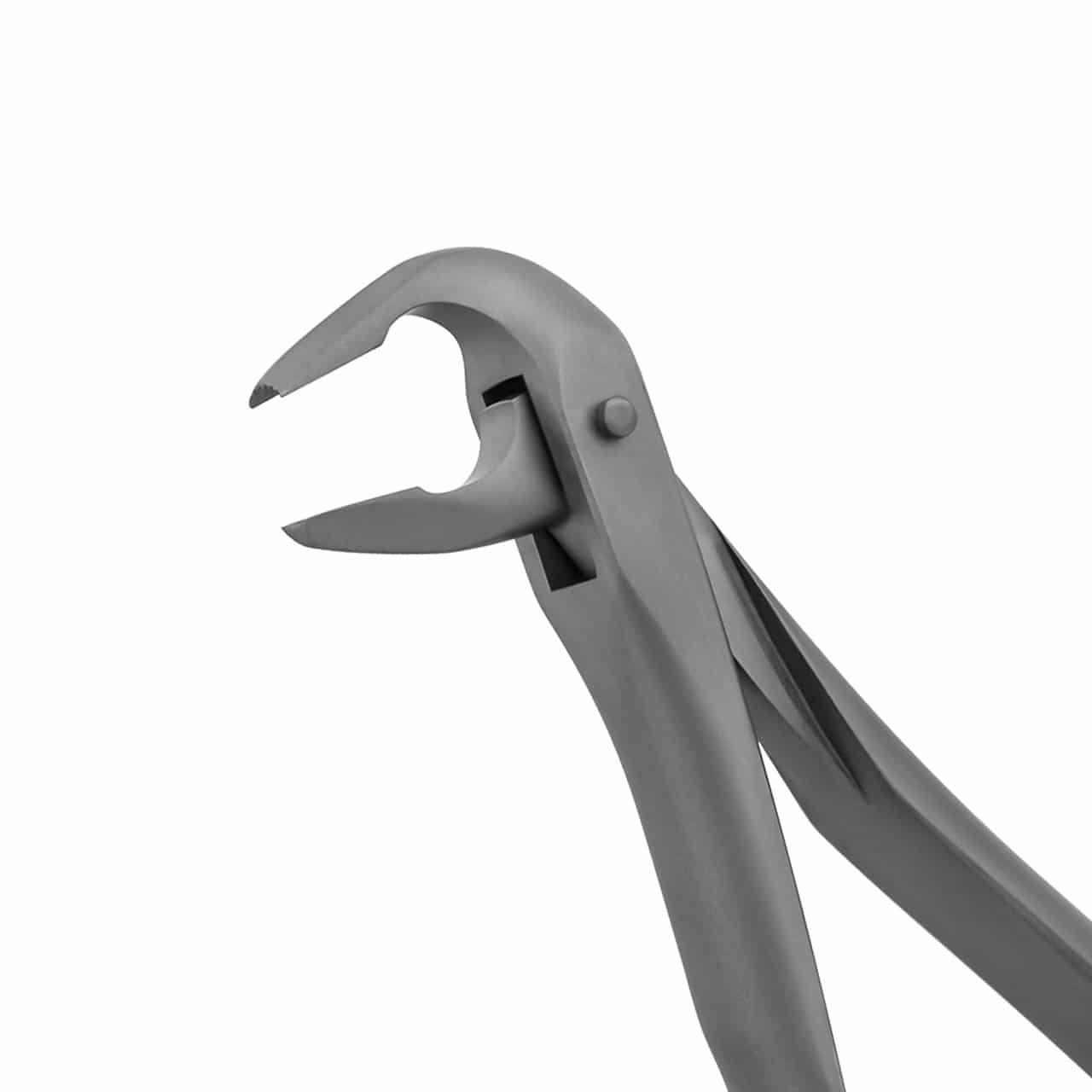 extraction-forceps-lower-anterior-english-pattern-36-5340-main-1.jpg