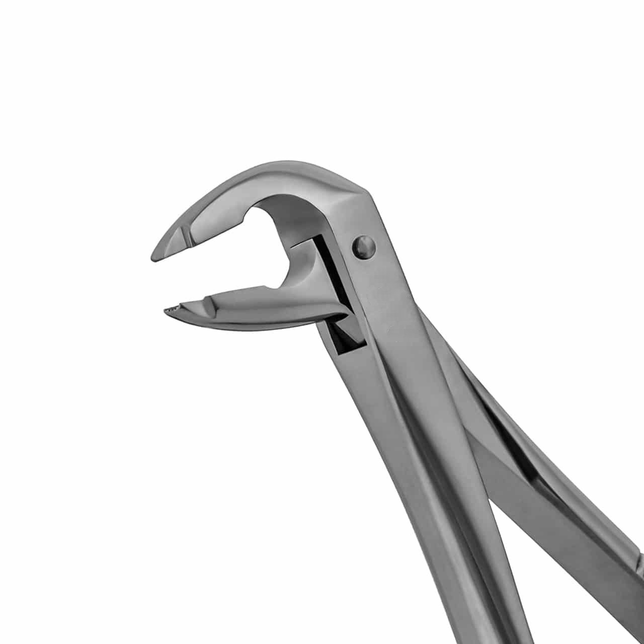 extraction-forceps-lower-anterior-notched-english-pattern-36-036N-main-1.jpg