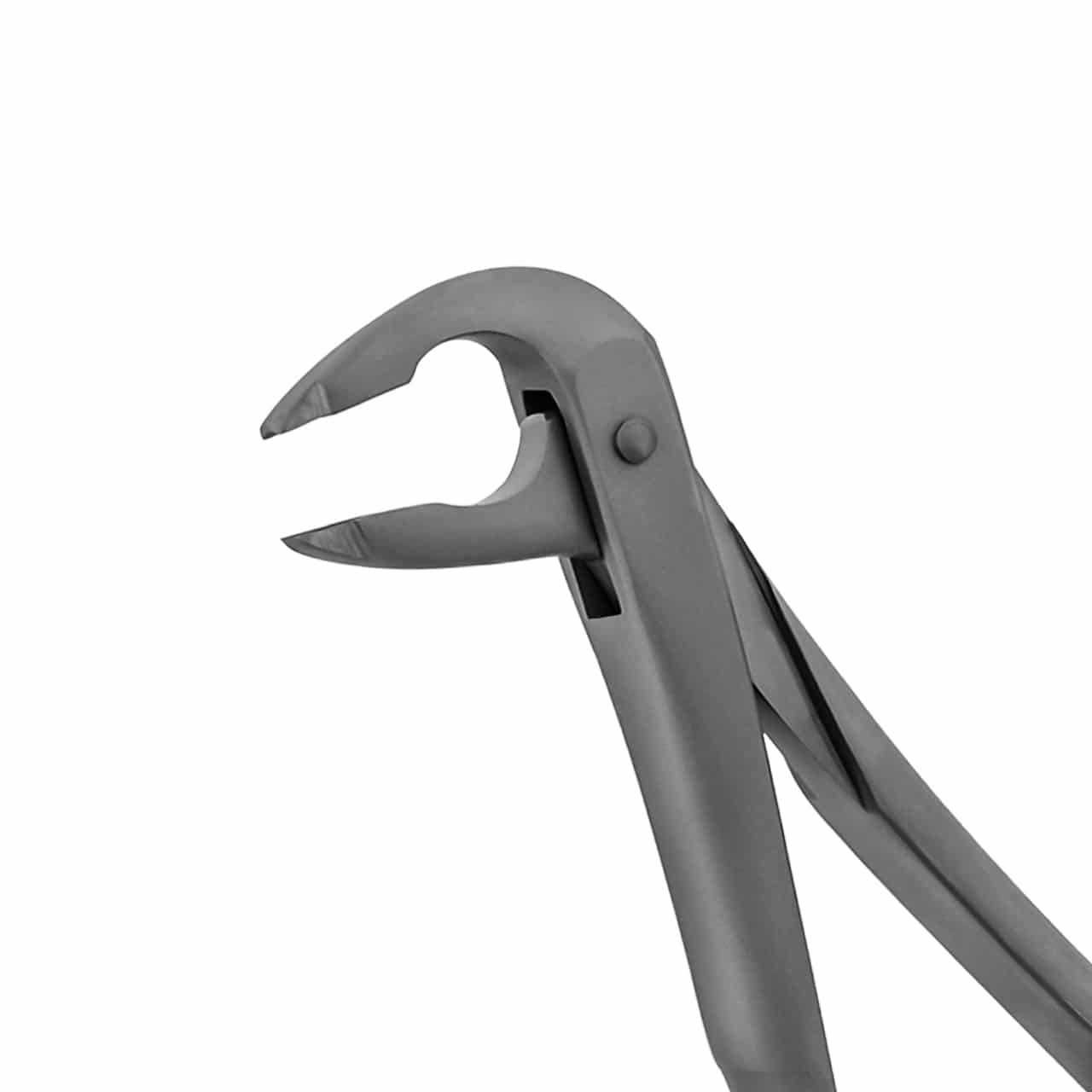 extraction-forceps-lower-anterior-notched-tips-english-pattern-36-5344-main-1.jpg