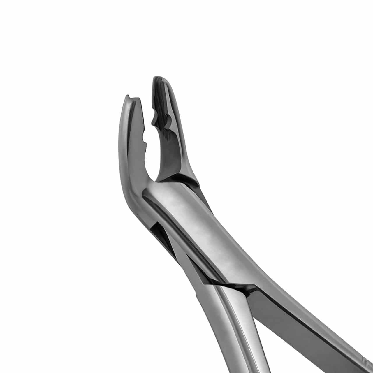 extraction-forceps-lower-anterior-univeral-151AS-american-pattern-36-151AS-main-1.jpg