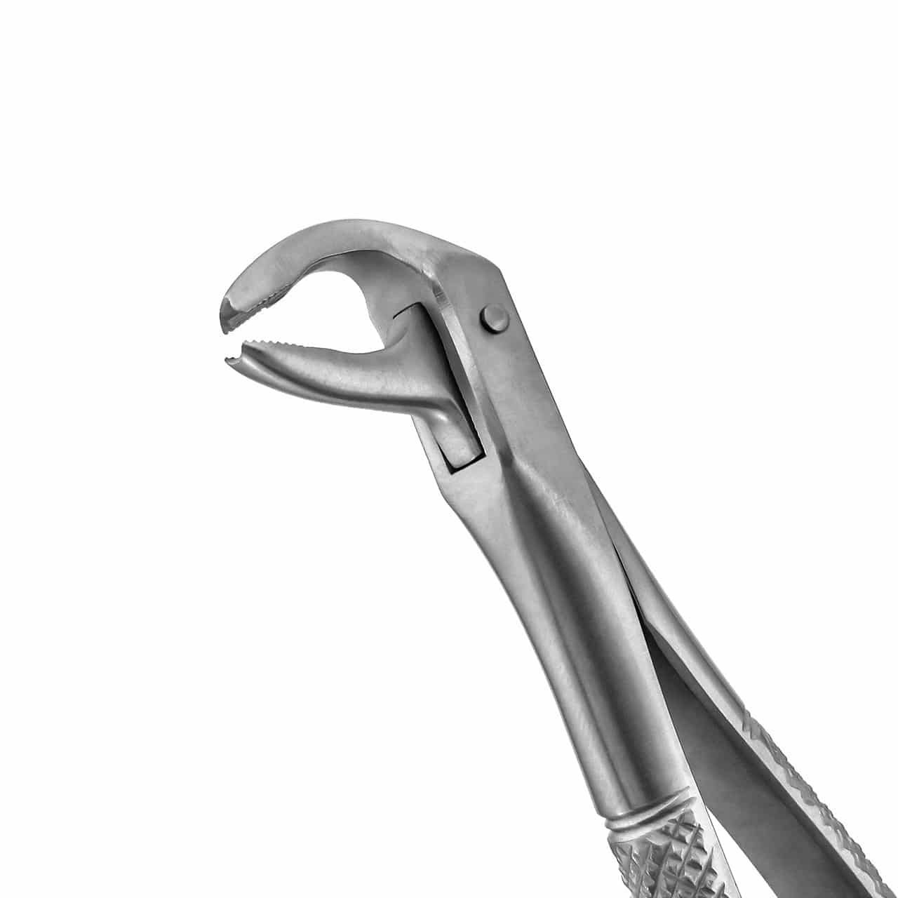 extraction-forceps-lower-anteriors-36-169E-main-1.jpg