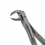 99 1/4 English Pattern Extraction Forceps - Image 2