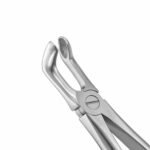 79A English Pattern Extraction Forceps - Image 2