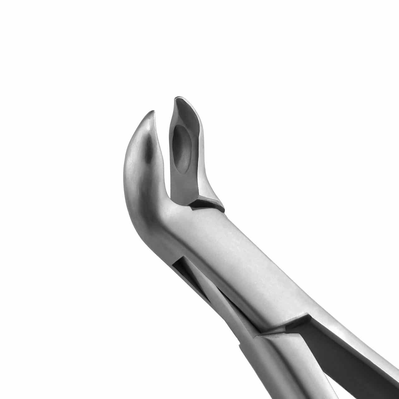 extraction-forceps-lower-molars-heavy-36-003FM-close-up.jpg