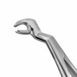 22 1/2R English Pattern Extraction Forceps - Image 2