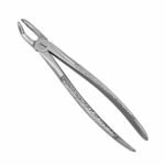 79 English Pattern Extraction Forceps