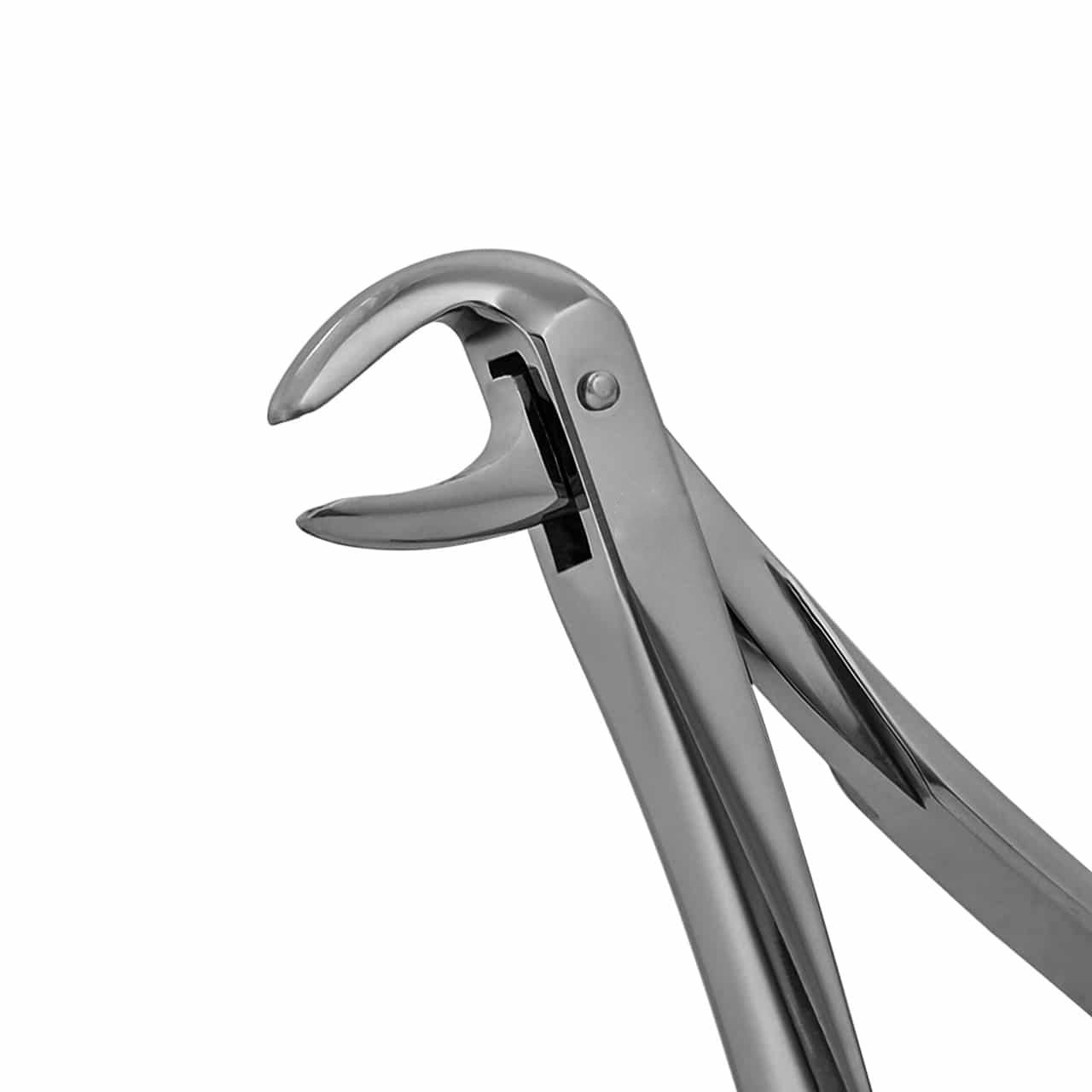 extraction-forceps-lower-root-74-english-pattern-36-074E-main-1.jpg