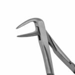 233 English Pattern Extraction Forceps - Image 2