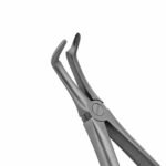 845 Extraction Forceps - Image 2