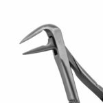 859 English Pattern Extraction Forceps - Image 2