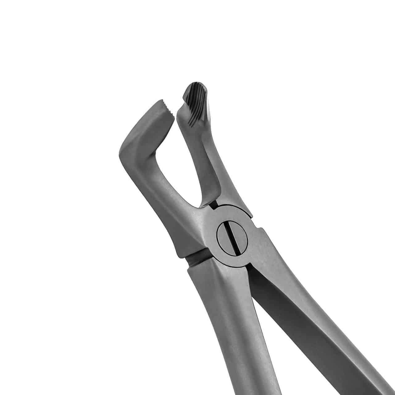 extraction-forceps-lower-univeral-signature-english-pattern-36-1774-main-1.jpg