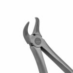 Cowhorn Extraction Forceps, Lower - Image 2