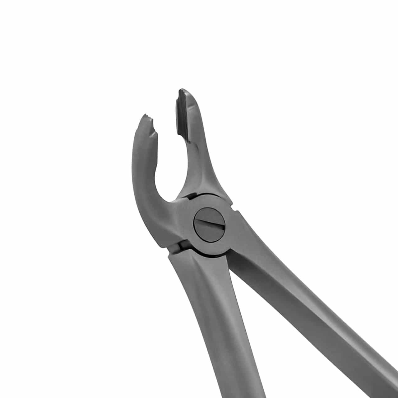 extraction-forceps-lower-universal-notched-tip-english-pattern-36-8674-main-1.jpg