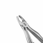 137C English Pattern Pedo Extraction Forceps - Image 2
