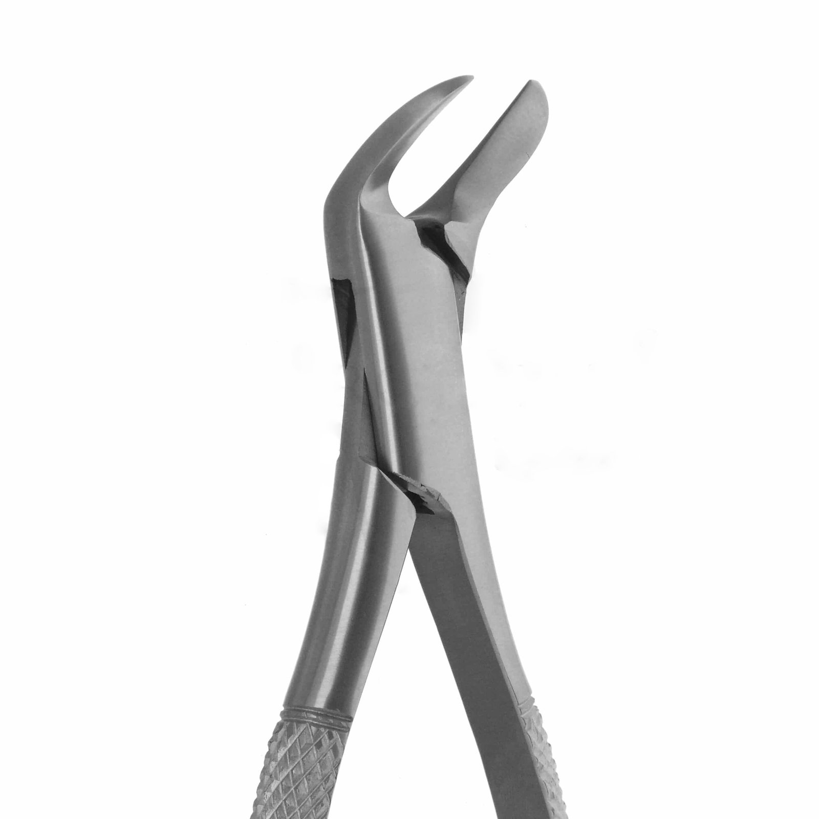 extraction-forceps-splitting-separating-6-36-006-tips-close-up-1-scaled-1.jpg