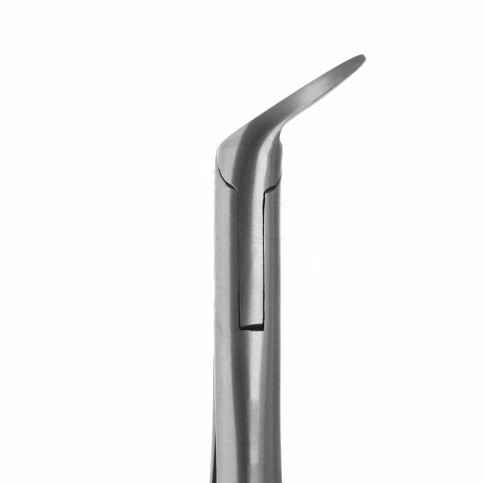 extraction-forceps-splitting-separating-6-36-006-tips-close-up-2-scaled-1.jpg