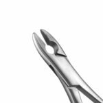 99C Kells Extraction Forceps - Image 2
