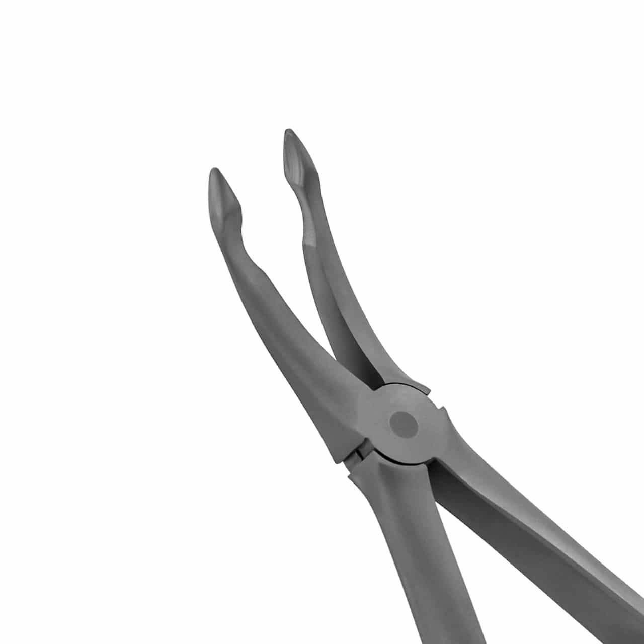 extraction-forceps-upper-root-signature-english-pattern-36-2269-main-1.jpg