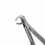162C English Pattern Pedo Extraction Forceps - Image 2