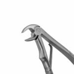 5C English Pattern Pedo Extraction Forceps - Image 2