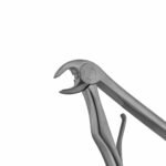 7C English Pattern Pedo Extraction Forceps - Image 2