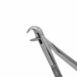 161C English Pattern Pedo Extraction Forceps - Image 2