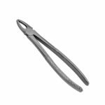 37C English Pattern Pedo Extraction Forceps