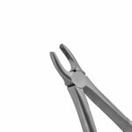 37C English Pattern Pedo Extraction Forceps - Image 2