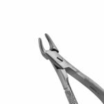 159C English Pattern Pedo Extraction Forceps - Image 2