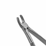 39C English Pattern Pedo Extraction Forceps - Image 2