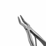 51C English Pattern Pedo Extraction Forceps - Image 2