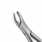 105 Extraction Forceps - Image 2